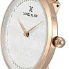Наручные часы Daniel Klein DK11987-3