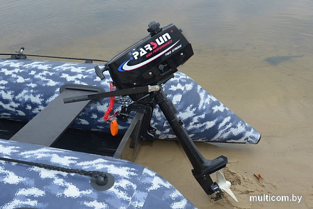 Лодочный мотор Parsun T2.6 BMS