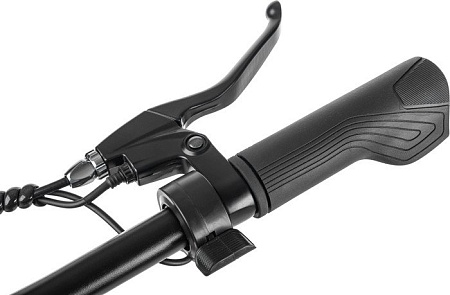 Электровелосипед MyWay Let 250 26 (бронзовый)