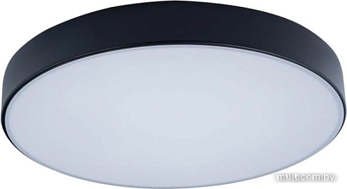 Люстра-тарелка LOFT IT Axel 10002/24 Black