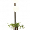 Бра Odeon Light Flower 4681/2WA
