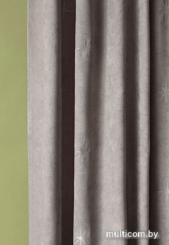 Комплект штор Pasionaria Бэлли 290x230 (2 шт, серый)