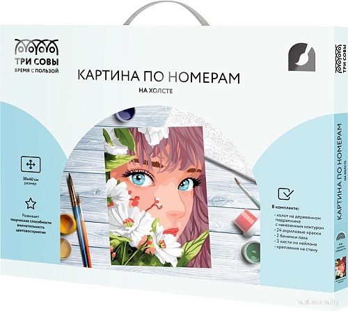 Три совы Аниме девушка с цветами КХ3040_53877