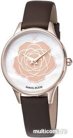 Наручные часы Daniel Klein DK11812-2