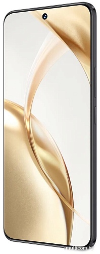 Телефон HONOR 200 12GB/256GB международная версия (вельветовый черный)