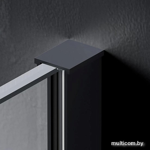 Душевая стенка AM.PM Func 120x200 W84WI-120-F1-BTE
