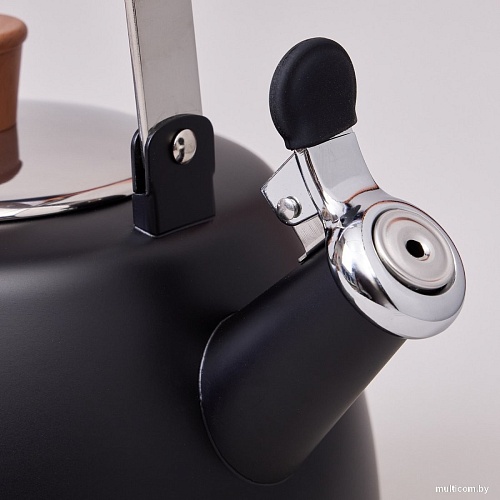 Чайник со свистком Agness 937-912