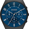 Наручные часы Skagen Grenen SKW6841