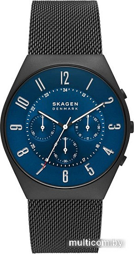 Наручные часы Skagen Grenen SKW6841