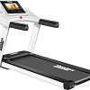 Электрическая беговая дорожка Sundays Fitness Simple Line G900D