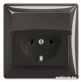 Розетка ABB Basic 55 2018-0-1502 (шато-черный)