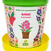 Набор для опытов Happy plant Флокс очарование hpn-29