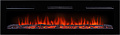 Электрокамин Electrolux Infinity EFP/P-1600ULS