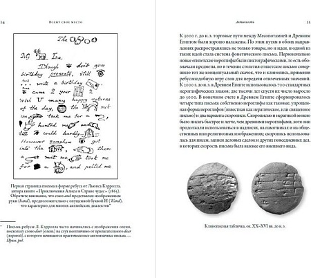 Книга издательства Альпина Нон-фикшн. Всему свое место. Необыкновенная история (Фландерс Дж.)