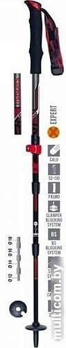 Треккинговые палки Masters Dolomiti Speedster Calu 01S0616
