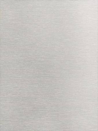 Римская штора Jalux Мальва 1 65x170 (светло-серый)