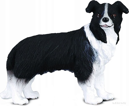 Collecta Собака Бордер-колли 88010b