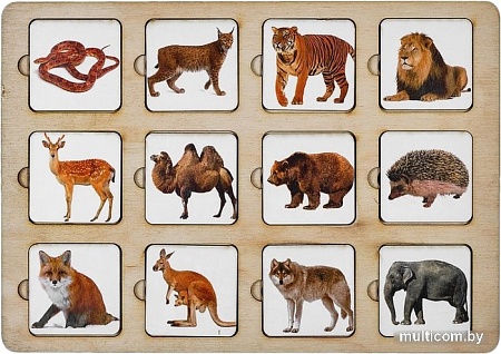 Развивающая игра Smile Decor Секретики Зоопарк П203