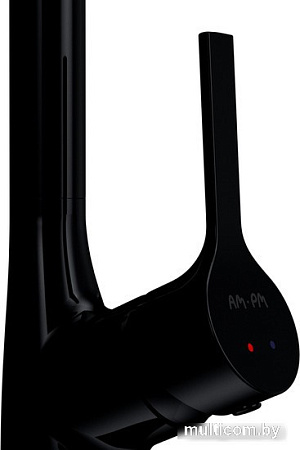 Смеситель AM.PM Spike F9S07022 (черный)