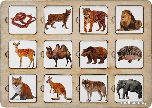 Развивающая игра Smile Decor Секретики Зоопарк П203