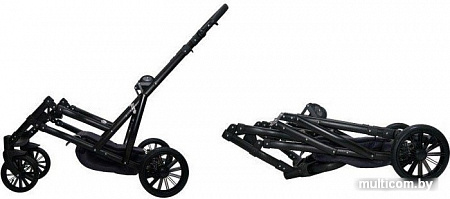 Универсальная коляска Ray Ultra Duo (2 в 1, 10)