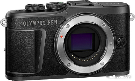 Беззеркальный фотоаппарат Olympus PEN E-PL10 Body (черный)