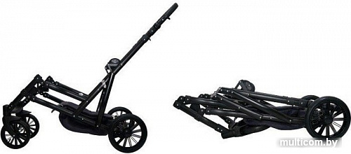 Универсальная коляска Ray Ultra Duo (2 в 1, 10)