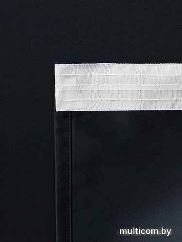 Комплект штор Pasionaria Блэквуд 400x250 (черный)