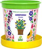 Набор для опытов Happy plant Анютины глазки hpn-9