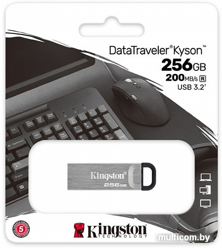 USB Flash Kingston Kyson 256GB