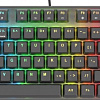 Клавиатура Genesis Thor 300 TKL RGB