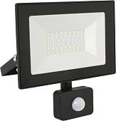 Уличный прожектор Ultraflash LFL-3002S C02