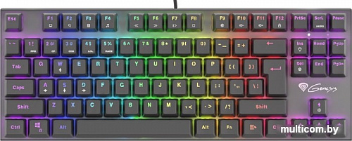 Клавиатура Genesis Thor 300 TKL RGB