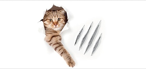 Корзина JoyArty Кот с царапиной gaba_31202_L