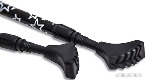 Палки для скандинавской ходьбы Gess Basic Walker GESS-919