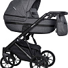 Универсальная коляска Riko Basic Delta (2 в 1, 05/carbon)