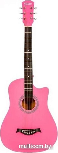 Акустическая гитара Belucci BC-C38 PI