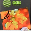 Фотобумага CACTUS Суперглянцевая A6 260 г/кв.м. 50 листов (CS-HGA626050)