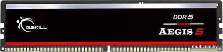 Оперативная память G.Skill Aegis 5 16ГБ DDR5 6000 МГц F5-6000J3636F16GX1-IS