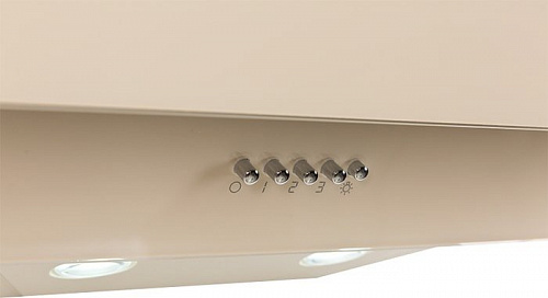 Кухонная вытяжка Oasis NS-60I (FR)