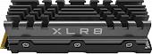SSD PNY XLR8 CS3140 Heatsink 2TB M280CS3140HS-2TB-RB