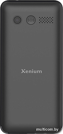 Кнопочный телефон Xenium X700 (черный)