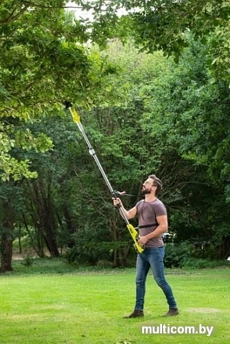 Сучкорез Ryobi RY18PLA-0 (без АКБ)