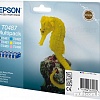 Картридж Epson EPT04874010 (C13T04874010)