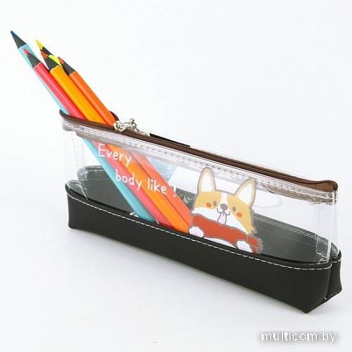 Пенал Darvish DV-13257