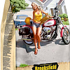 Сухой корм для кошек Brooksfield Hairball Control говядина/рис 2 кг