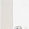 Отопительный котел Ferroli Divatech D HF32