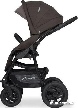 Универсальная коляска Riko Basic Alfa (2 в 1, 10)