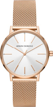 Наручные часы Armani Exchange AX5573