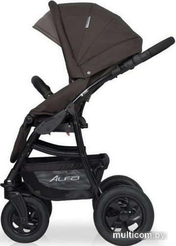 Универсальная коляска Riko Basic Alfa (2 в 1, 10)